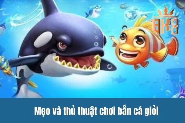 Mẹo và thủ thuật chơi bắn cá giỏi